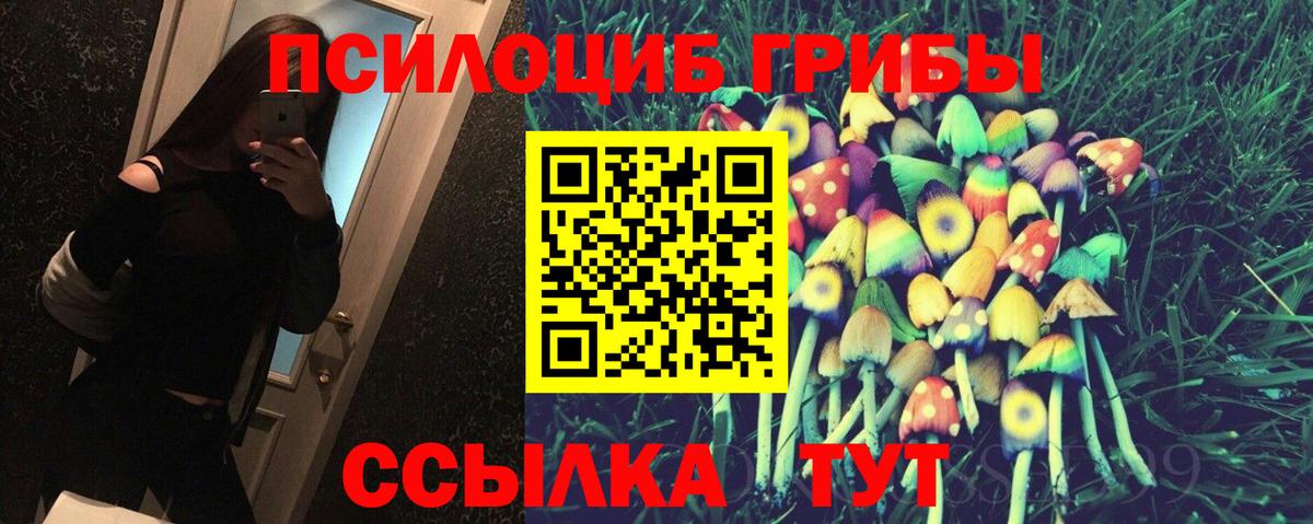 Галлюциногенные грибы Psilocybe  Вход с VPN  Тосно 